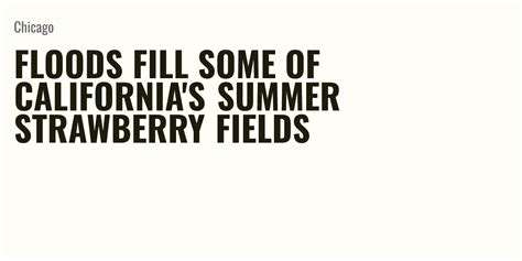 Floods fill some of California’s summer strawberry fields